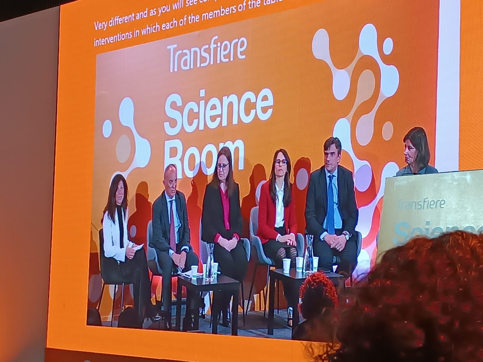 2.WhatsApp Image 2025-03-13 at 20.30.51 (1)