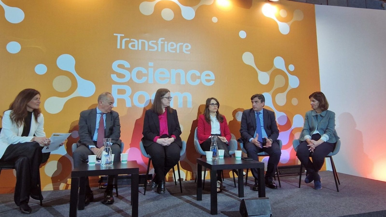 1.WhatsApp Image 2025-03-13 at 23.34.08